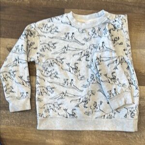 Joe Fresh Gray Dinosaur Print Sweatshirt